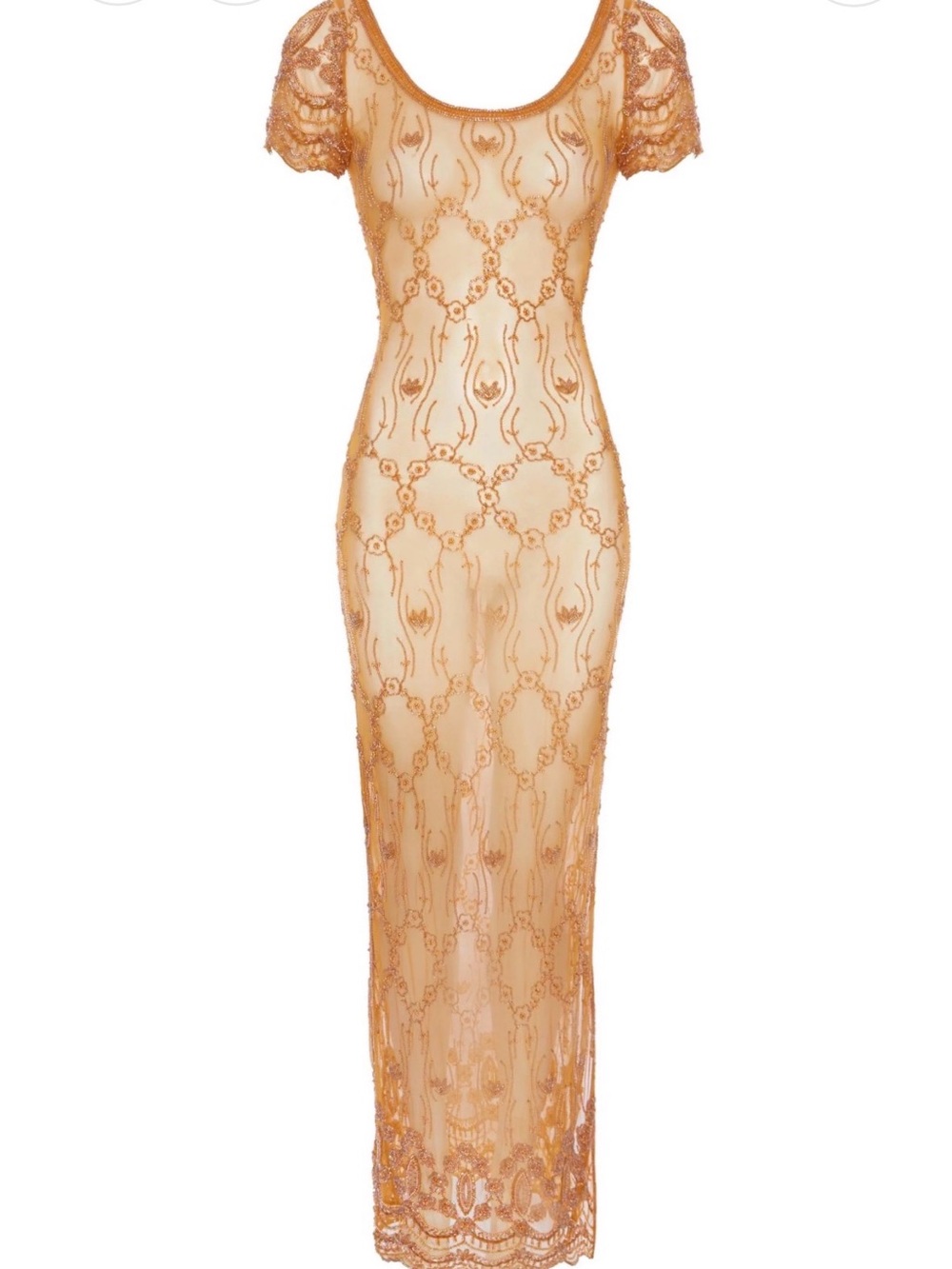 Annie’s Rio Maxi Sheer Embroidered Dress / NWT / SOLD OUT / XS